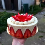 Classic-French-Fraisier-Cake.Classic-French-Fraisier-Cake_0